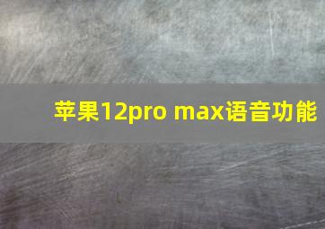 苹果12pro max语音功能